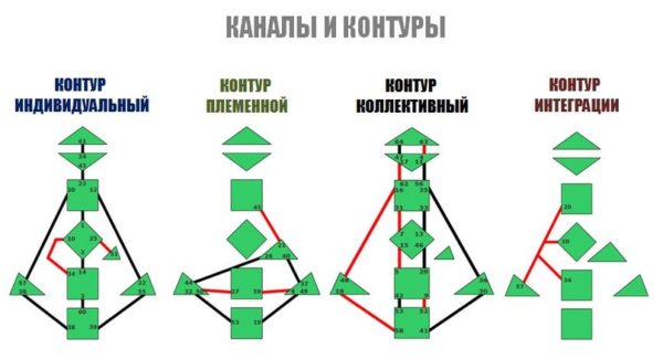 контуры дизайн человека