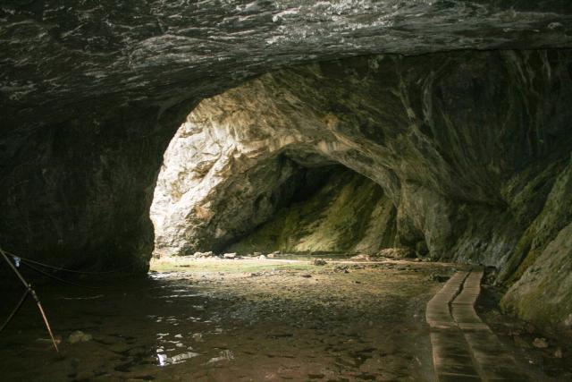 пещеры среда обитания