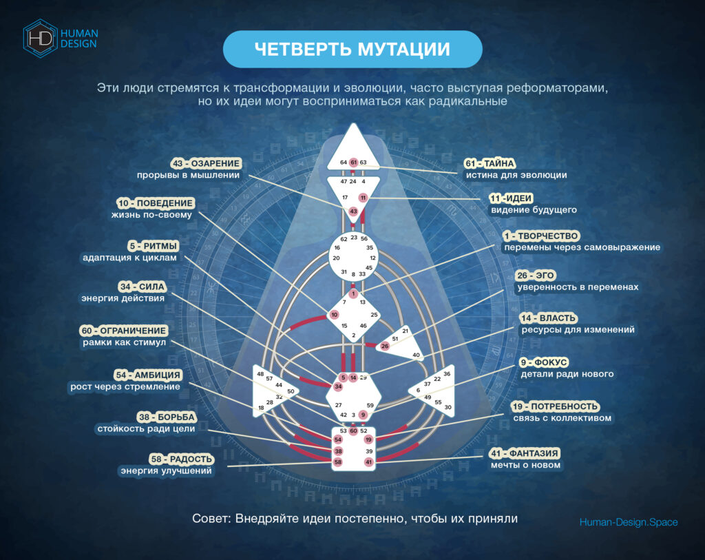 Четверть Мутации: Эволюция и перемены